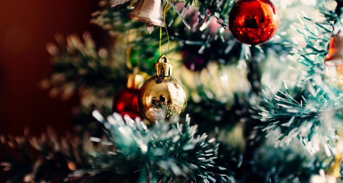 Piney: the Story of a Christmas Tree
