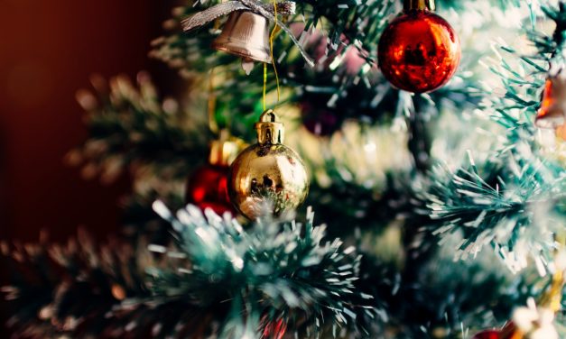 Piney: the Story of a Christmas Tree