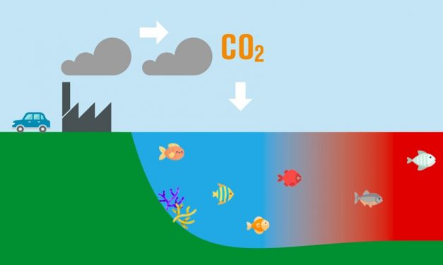 Trump is Ignoring All the Climate Change Alarms
