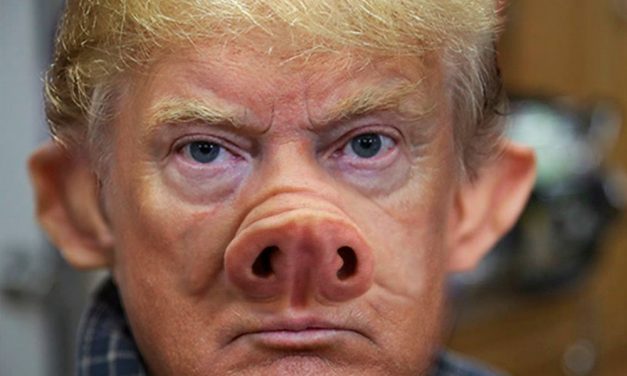 Comic Relief: Prankster Buys Trump Foundation URL
