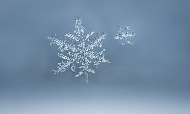 Republican Snowflakes on Twitter, Mass Shooting Edition