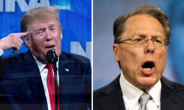 Trump’s Reelection Strategy Makes a Gun Bill Unlikely