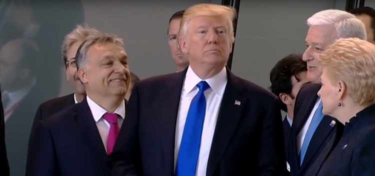 Trump Pleads Ignorance on the Proud Boys