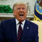 Are Right-Wing Politicos or Advisers Right on Strategy?
