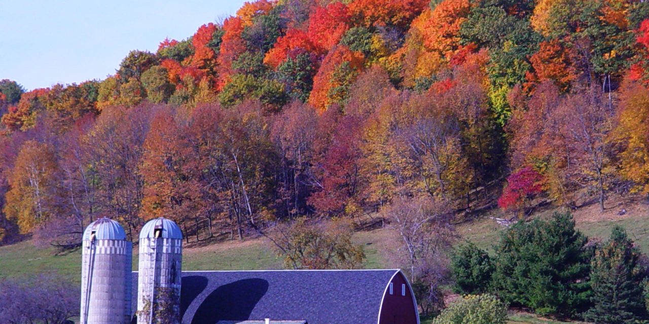 Listen, Democrats. There is a Way to Win Rural Voters