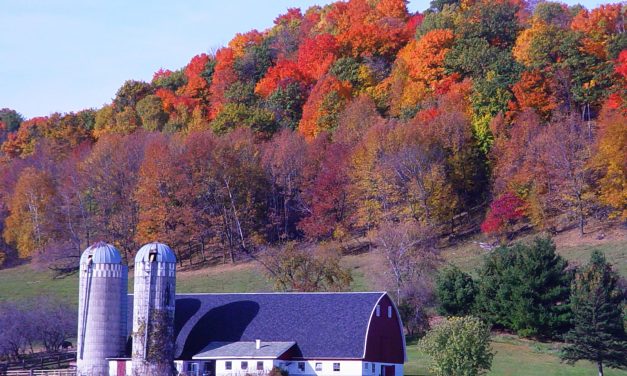Listen, Democrats. There is a Way to Win Rural Voters