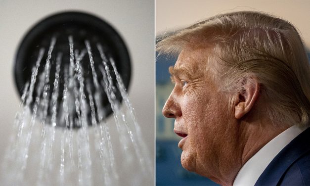 Trump Finally Gets His Inefficient Showerheads