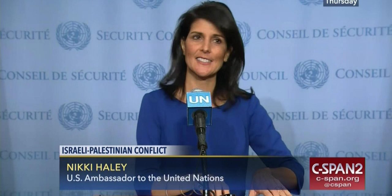 Why Does Nikki Haley Seek the Republican Nomination?