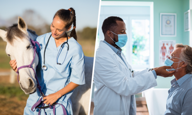 How Ivermectin Became Its Own Epidemic