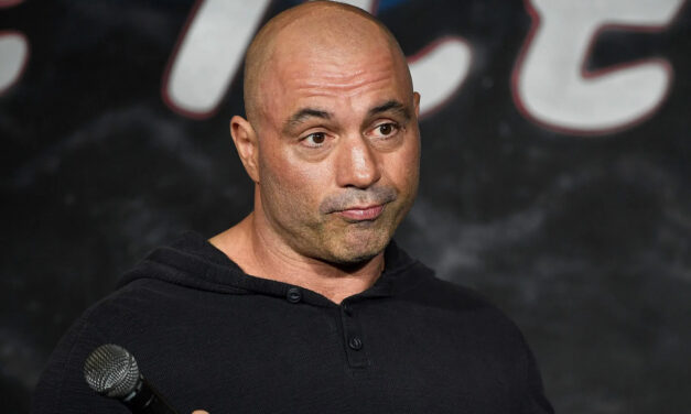 Joe Rogan Messes With Bull, Gets Horns