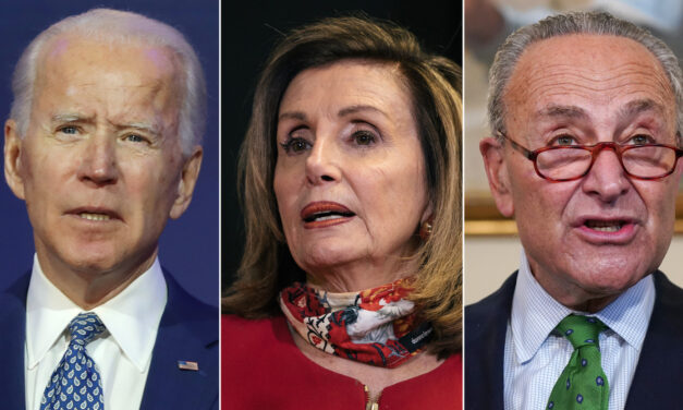 Only One Political Party Is Demonstrating How Democracy Is Supposed to Work