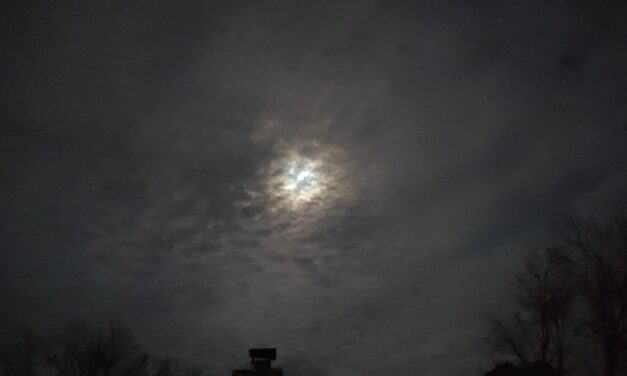 Friday Foto Flog, V. 3.032