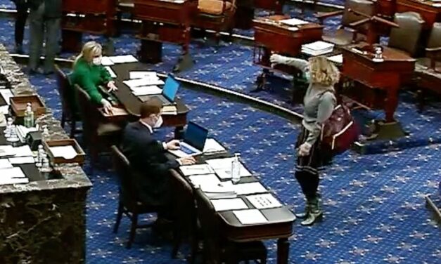 Arizonans Would Rather Step in Dogshit Than Reelect Sinema