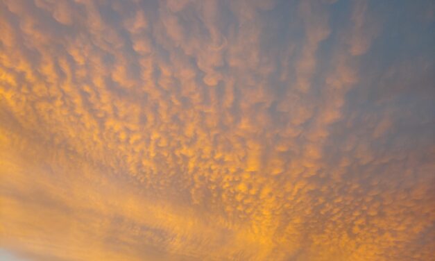 Friday Foto Flog 3.039