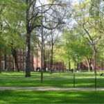 What the Ban On International Students Is Really About