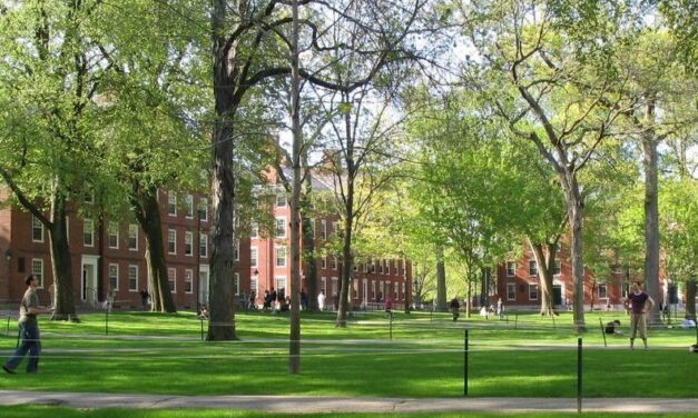 What the Ban On International Students Is Really About